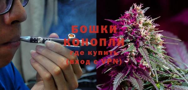 мескалин Бородино