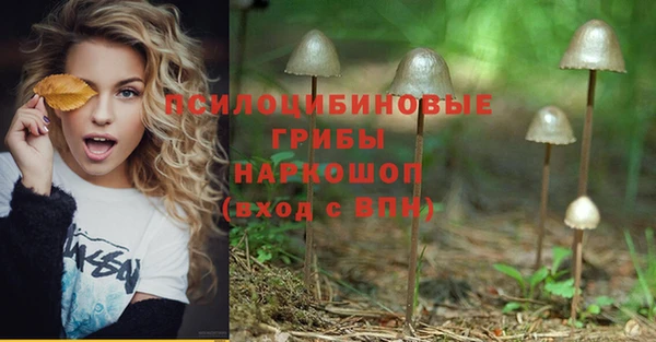 MESCALINE Богородицк
