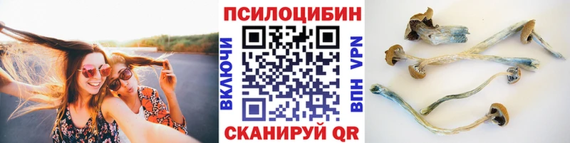 где найти   Джанкой  Псилоцибиновые грибы MAGIC MUSHROOMS 
